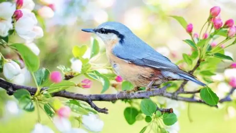 Какой будет погода в Алматы, Нур-Султане и Шымкенте