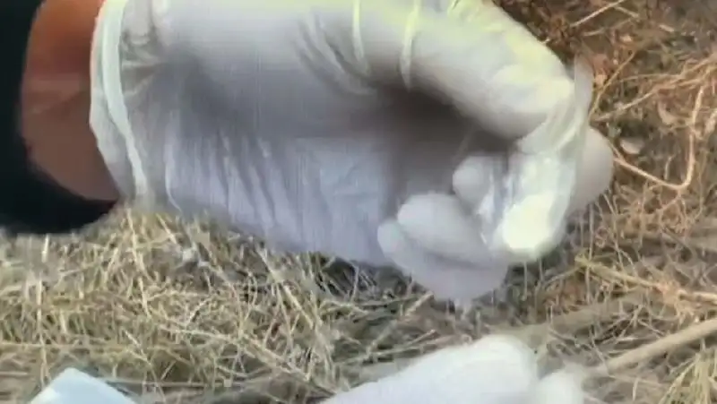 Трех жителей ЗКО подозревают в хранении и сбыте наркотиков