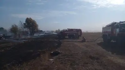 дачный массив , фото - Новости Zakon.kz от 09.10.2022 11:13