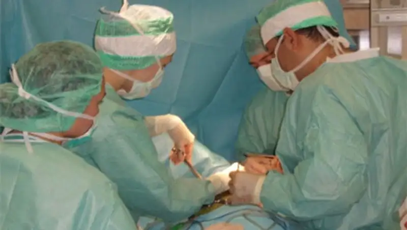 Столичные специалисты противотуберкулезного диспансера прошли повышение квалификации, фото - Новости Zakon.kz от 15.11.2013 17:06