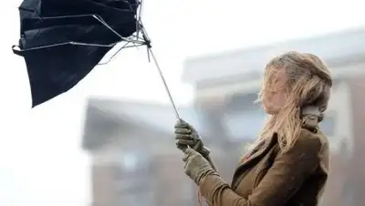 Zakon.kz, фото - Новости Zakon.kz от 14.11.2017 00:34