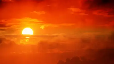 inform.kz, фото - Новости Zakon.kz от 15.07.2020 13:05