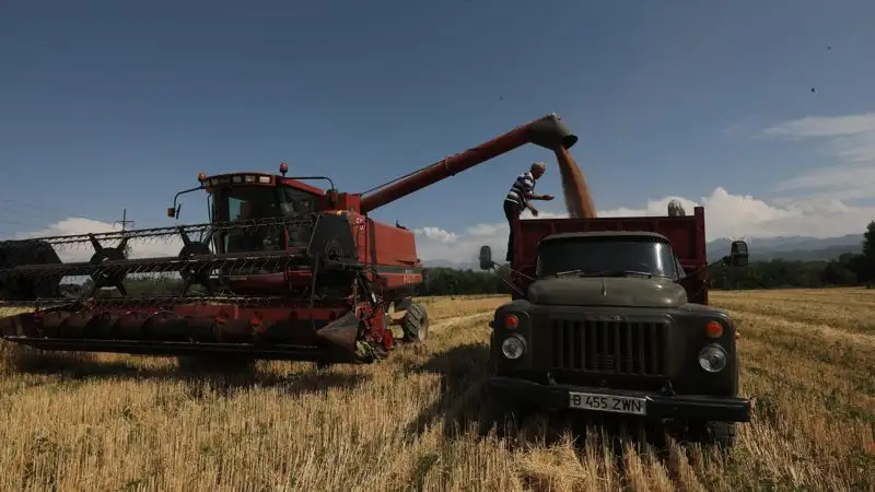 МСХ будет пускать российское зерно на корм птицам и продавать казахстанское в Африку