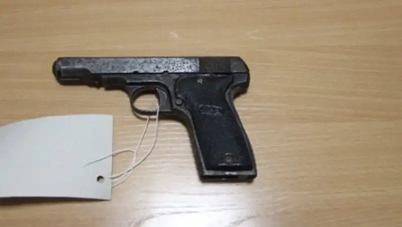 Житель Павлодара "продал" полиции французский пистолет 1933 года выпуска