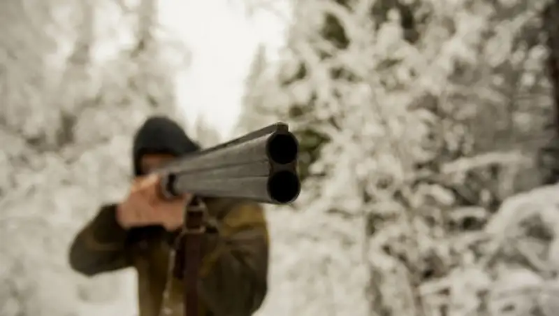 Акмолинский браконьер оказался егерем