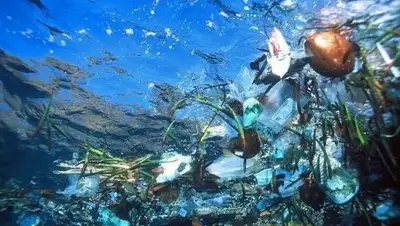 Zakon.kz, фото - Новости Zakon.kz от 10.02.2017 20:00