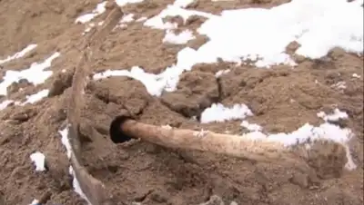 Zakon.kz, фото - Новости Zakon.kz от 19.03.2015 16:26