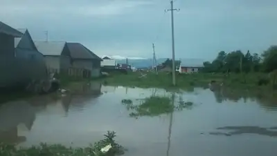 Zakon.kz, фото - Новости Zakon.kz от 17.05.2016 17:18