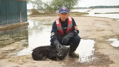 facebook.com/Кирилл Павлов/Яков Федоров, фото - Новости Zakon.kz от 14.05.2020 19:26