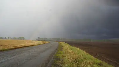 Википедия, фото - Новости Zakon.kz от 07.06.2019 09:10