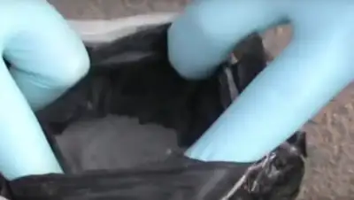 Zakon.kz, фото - Новости Zakon.kz от 18.03.2017 23:08