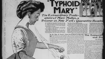 cs10.pikabu.ru, фото - Новости Zakon.kz от 27.03.2020 11:44