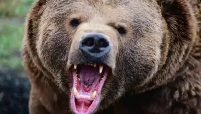 Zakon.kz, фото - Новости Zakon.kz от 07.10.2014 00:07