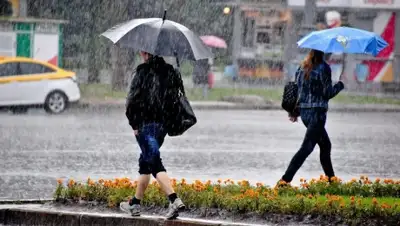 almaty.tv, фото - Новости Zakon.kz от 10.06.2019 10:27