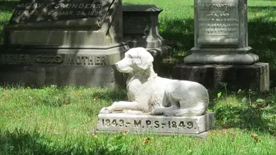 Могила для Барсика: появятся ли в Казахстане кладбища для домашних животных, фото - Новости Zakon.kz от 19.09.2023 17:25