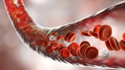 joinfo.com, фото - Новости Zakon.kz от 07.04.2021 10:00