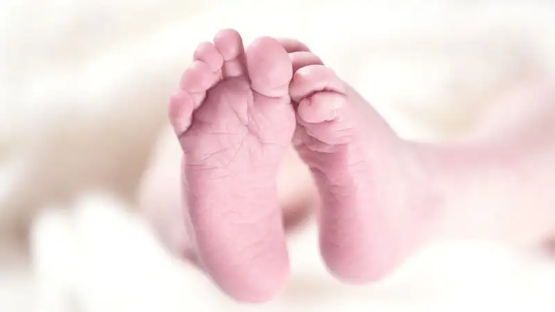 В Южной Корее мать обвинили в сокрытии тел новорожденных в морозильной камере