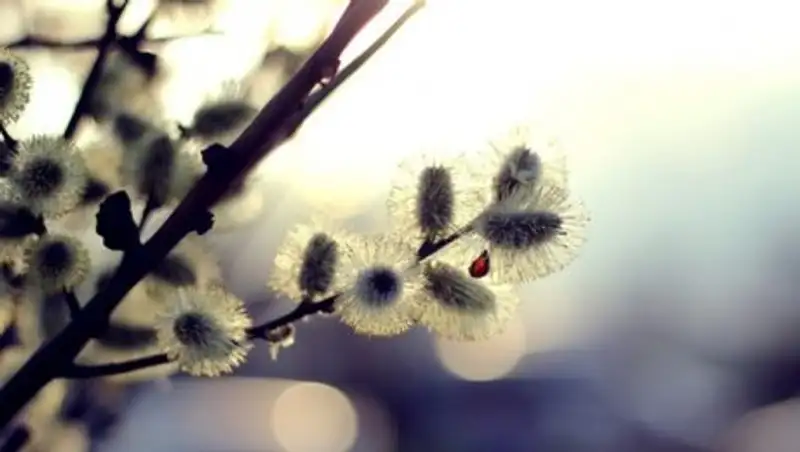 Осадки ожидаются во вторник в большинстве регионов Казахстана