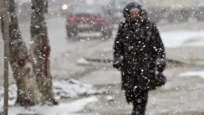 t-l.ru, фото - Новости Zakon.kz от 07.02.2018 09:29