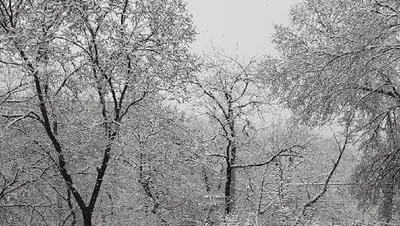 прогноз погоды, фото - Новости Zakon.kz от 23.03.2022 11:22