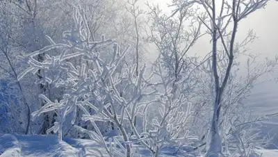 Pixabay, фото - Новости Zakon.kz от 01.02.2019 09:27