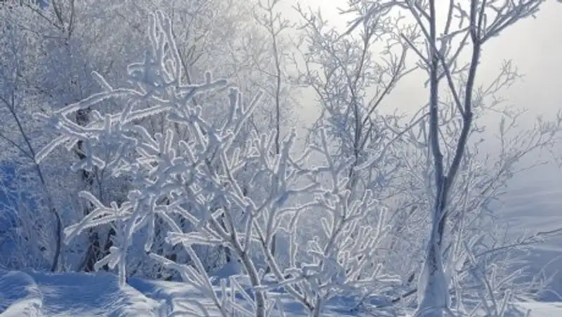 1 февраля в Казахстане сохранятся морозы