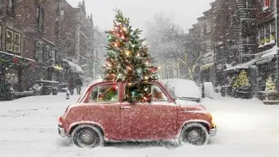 Zakon.kz, фото - Новости Zakon.kz от 12.12.2016 22:48