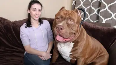 Zakon.kz, фото - Новости Zakon.kz от 04.03.2015 16:41