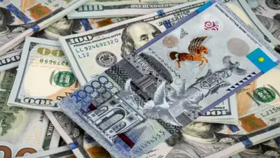 Zakon.kz, фото - Новости Zakon.kz от 04.09.2020 17:28