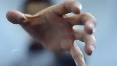 Алау, фото - Новости Zakon.kz от 21.02.2020 14:59