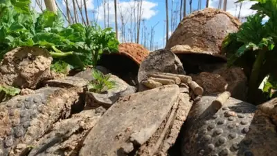 PressFrom, фото - Новости Zakon.kz от 26.07.2019 17:54