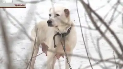 Zakon.kz, фото - Новости Zakon.kz от 02.03.2016 04:58