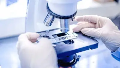 Robo-Med, фото - Новости Zakon.kz от 07.02.2018 20:25