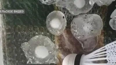 Кадр из видео, фото - Новости Zakon.kz от 13.07.2021 00:54