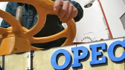 Zakon.kz, фото - Новости Zakon.kz от 05.03.2016 05:56