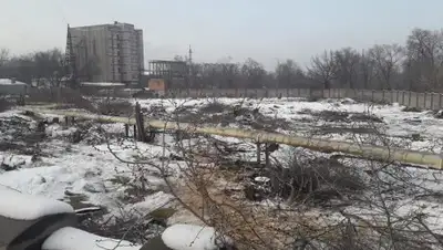 эко-активиста Тимура Елеусизова, фото - Новости Zakon.kz от 20.01.2020 17:05