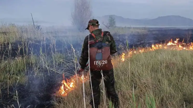 Пожар в резервате "Семей Орманы" локализован
