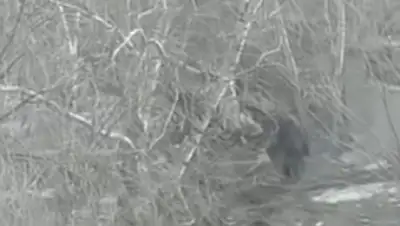 YouTube, фото - Новости Zakon.kz от 04.04.2019 06:00