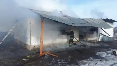 КЧС МВД РК, фото - Новости Zakon.kz от 03.02.2020 16:15