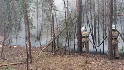 В полиции Абайской области подтвердили пропажу еще одного человека при тушении пожара