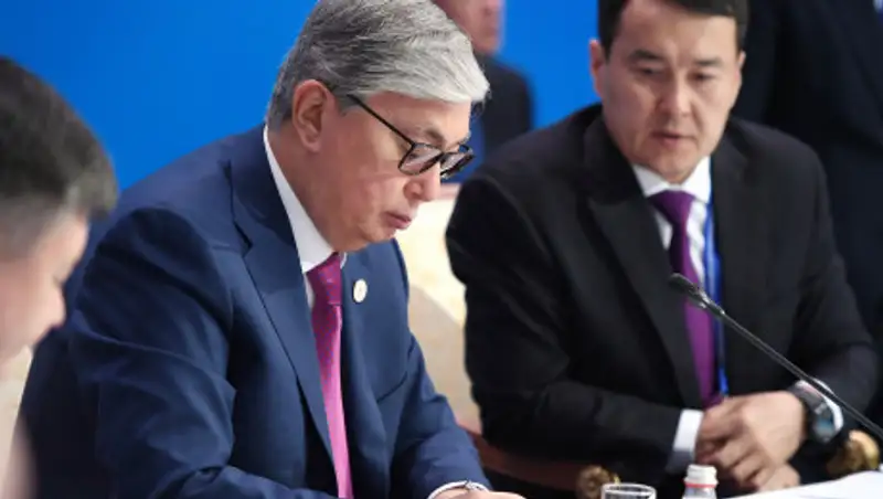 Президент поручил пресечь деятельность ОПГ на озере в Восточном Казахстане