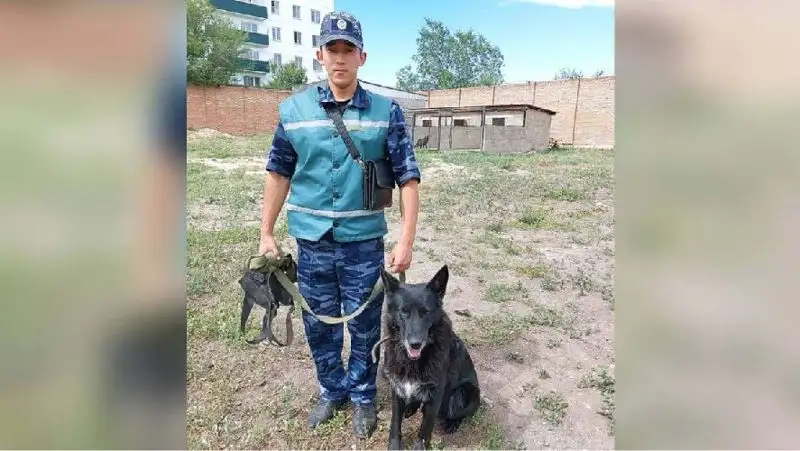 Кинолог спас 5-летнего мальчика от падения из окна