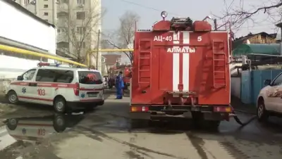 Zakon.kz, фото - Новости Zakon.kz от 24.11.2015 20:27