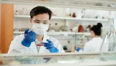 Pxhere.com, фото - Новости Zakon.kz от 12.09.2021 10:03