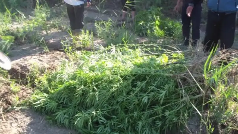 В Кызылорде создано специальное подразделение «Дельта-Сырдария»