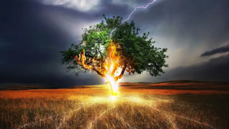 23 июня казахстанцев ожидают дожди с грозами, туман и усиление ветра