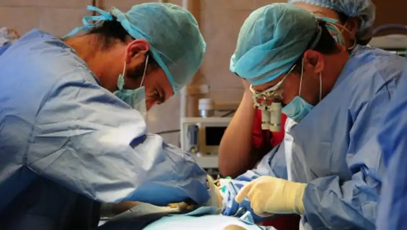 В Индии арестован мужчина, продавший почку жены из-за маленького приданого