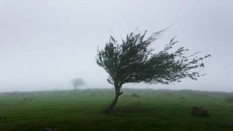 Туман и сильный ветер ожидаются в 5 областях Казахстана