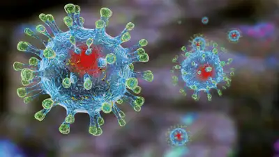 kubnews.ru, фото - Новости Zakon.kz от 02.04.2020 20:14