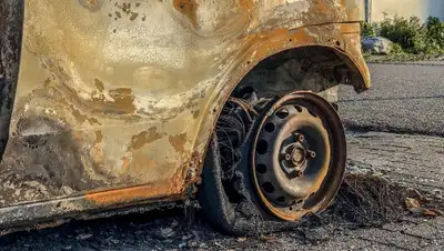 Pixabay, фото - Новости Zakon.kz от 12.09.2019 08:09